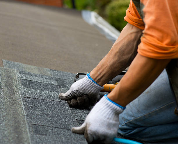 Gutter Installation and Roofing in Bloomingdale, TN